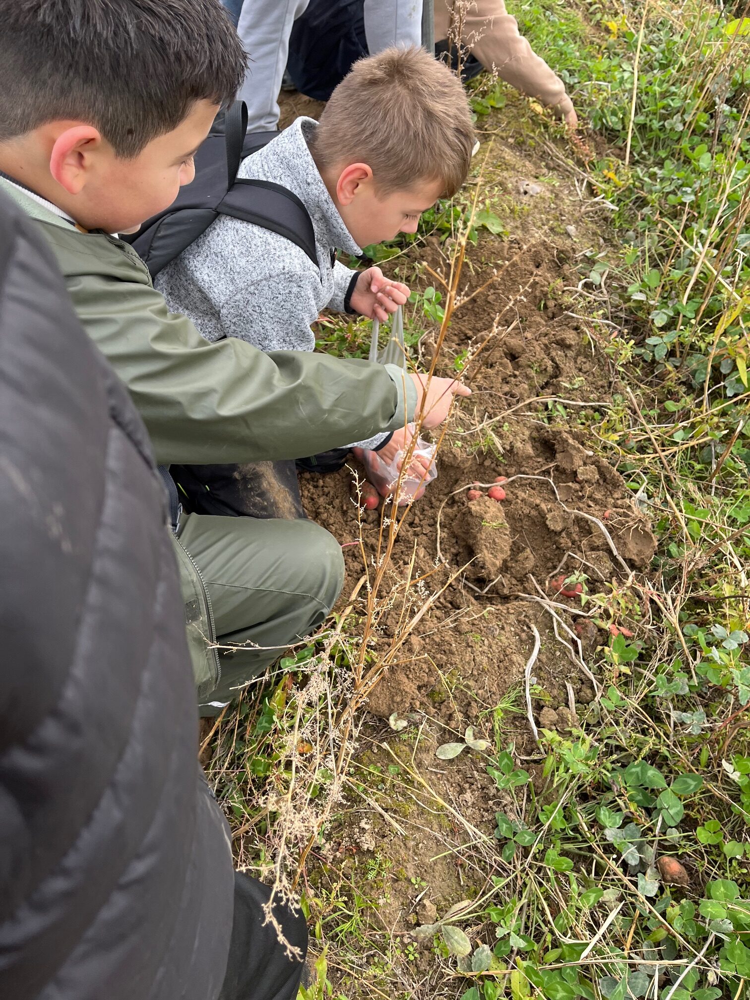 Klasse 5f auf dem Bio-Bauernhof Nau, SG Gräfrath